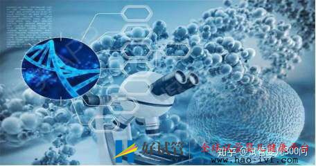 卵巢早衰的我终于试管成功怀孕了!!!!(图6)