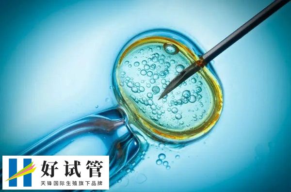 试管不成功不会退费