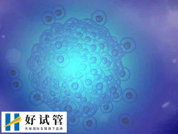 PGT技术存在一定的局限性