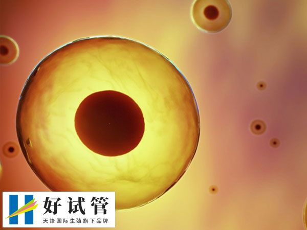 国内禁止任何形式的商业化供卵行为