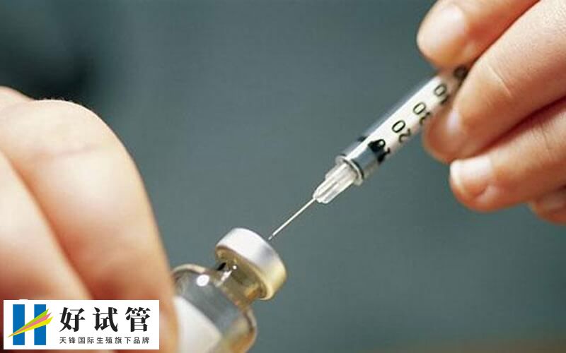 拮抗剂方案流程步骤