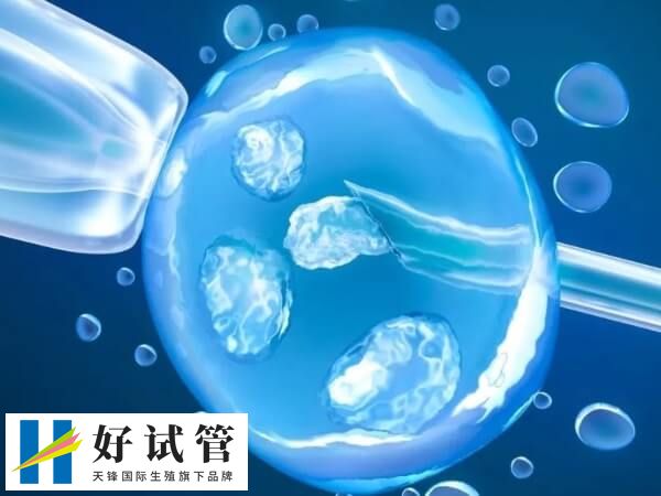 冻胚移植失败后再次移植要间隔1个月