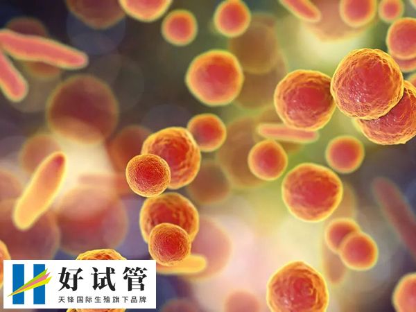 血沉值可以初步判断炎症反应的程度