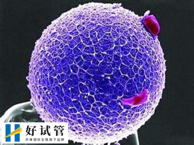 4BC的质量属于中等级别