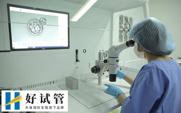 试管婴儿跟自然受孕没什么区别