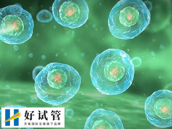 只取5个卵泡可以做三代试管