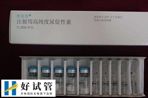 贺美奇促进卵泡生长