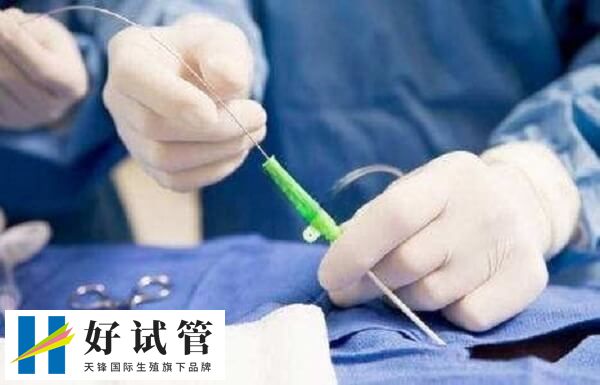 雌激素水平过低会影响内膜厚度