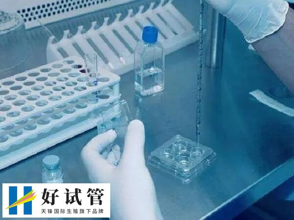 义乌地区的医院暂未开展试管技术