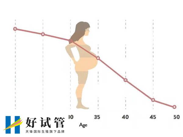 试管成功率与女性年龄成反比
