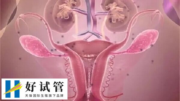 子宫内膜异位症打达菲林会出现肠胃不适