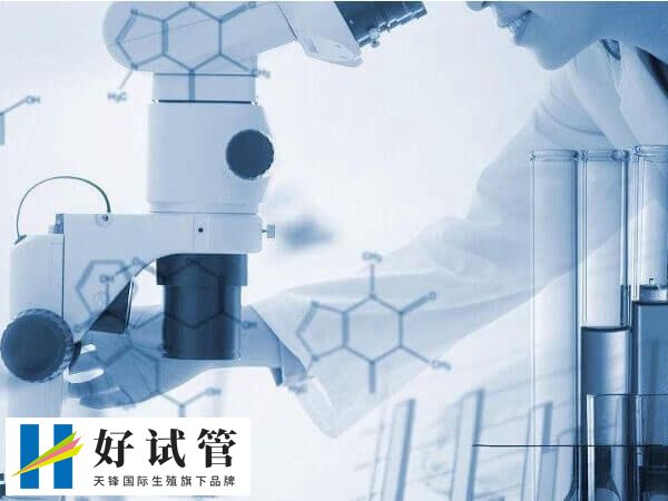 囊胚5cb也是可以移植的