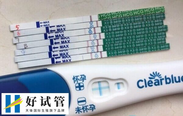 囊胚移植后五天左右就能着床