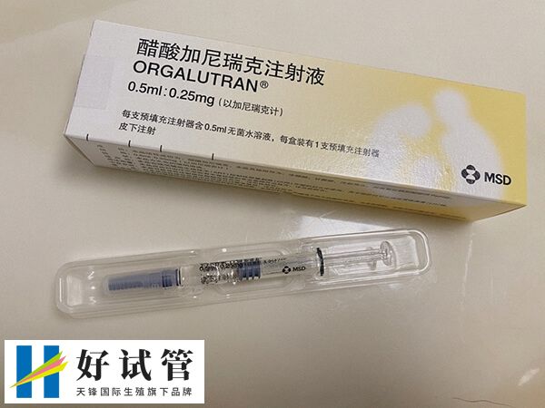 过敏女性不宜使用加尼瑞克