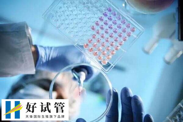 短方案整体费用相对长方案更为经济