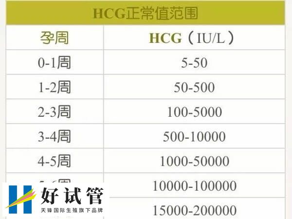 孕期hcg数值对照表